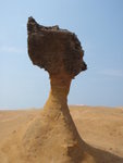 P9140007