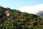 行至中段居然發現有紅葉靚景