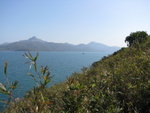 IMG_0332