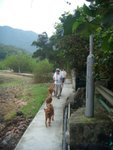 DSCN4677