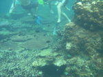 DSCN9075