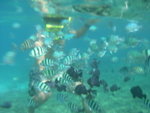 DSCN9135