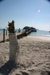 IMG_0245