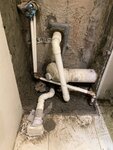 20200728_IMG_5649