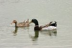 IMG_0053