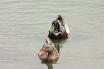 IMG_0055