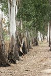 IMG_0070