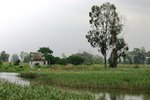 IMG_0074