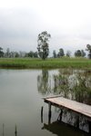 IMG_0087