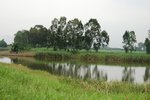 IMG_0171