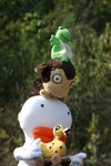 IMG_0006