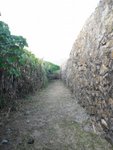 DSCF1560