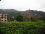 DSCF2698