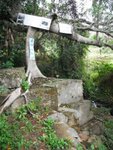 DSCF2702