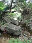 DSCF2703
