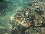 DSCF5147