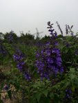 20130420_141125