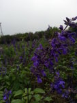 20130420_141151
