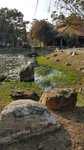 20141124_145246