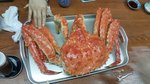 20150312_145340