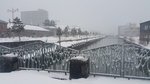 20150312_161258