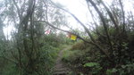 DSC00367