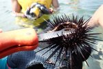 IMG-20150719-WA0025