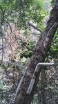20150912_141407