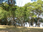 DSCN0150