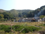 谷埔