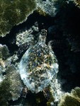 DSCN1979