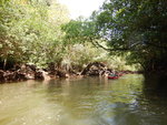DSCN2450