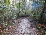 DSCN3334