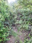 DSCN3372