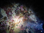 DSCN4455