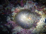 DSCN4456