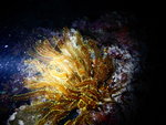 DSCN4478
