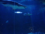DSC00053