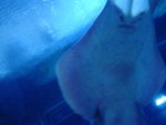 DSC00056