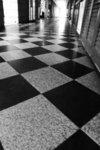 CRW_3717