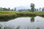 CRW_7451