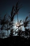 CRW_7155