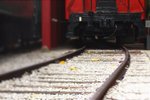 CRW_4241