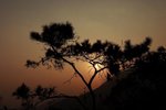 CRW_7194