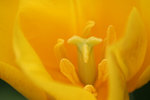 IMG_3297