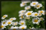 IMG_9684