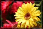 IMG_9713