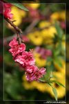 IMG_9715