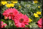 IMG_9744