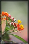 IMG_9761